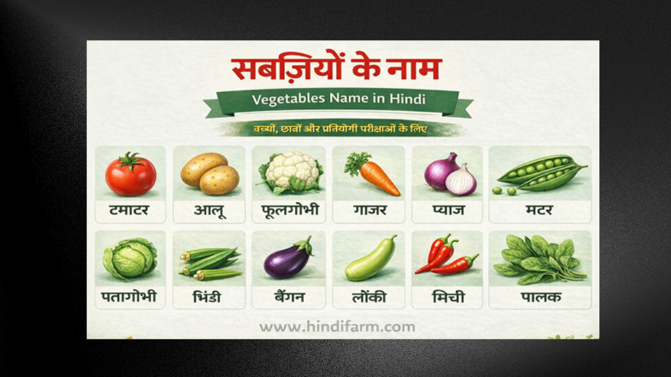 Vegetables Name In Hindi