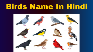 Read more about the article Birds Name In Hindi & English- Pakshiyon Ke Naam Hindi Mein