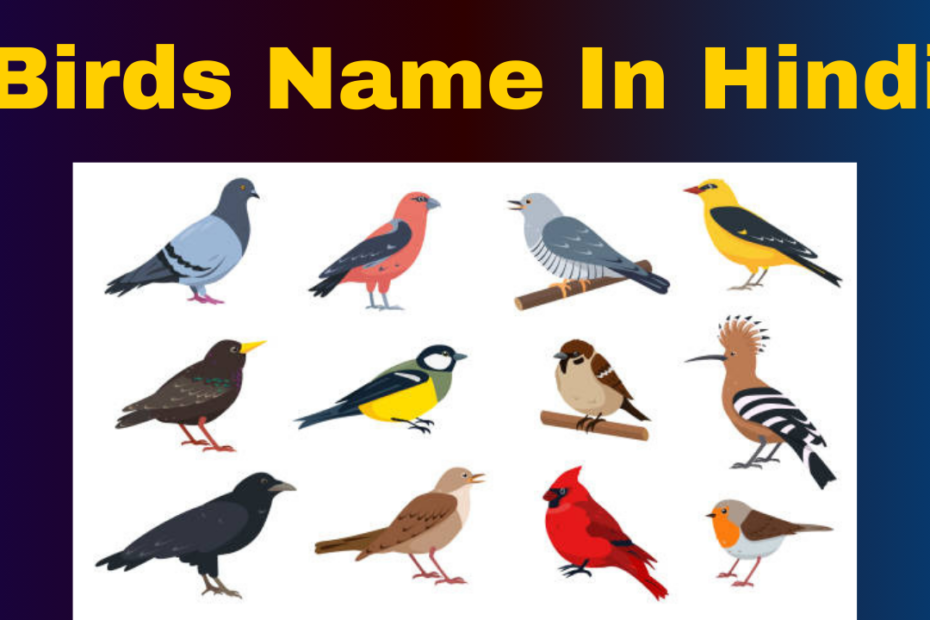 Birds Name In Hindi Pakshiyon Ke Naam