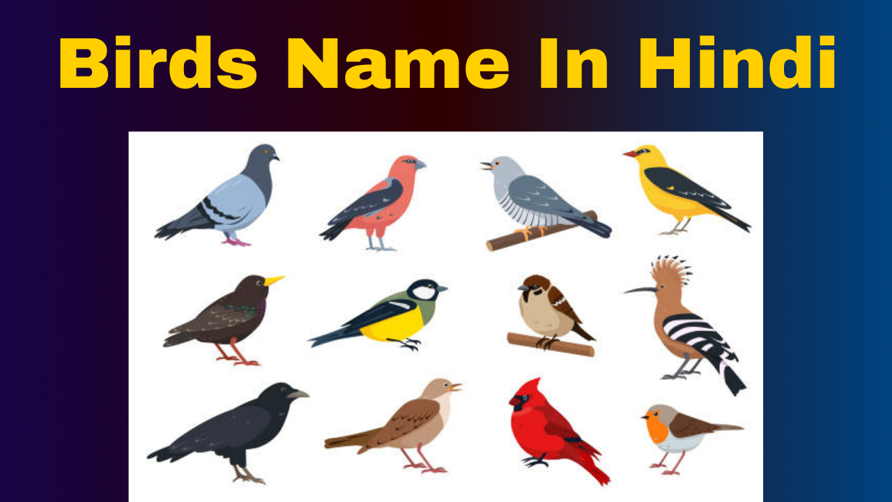 You are currently viewing Birds Name In Hindi & English- Pakshiyon Ke Naam Hindi Mein