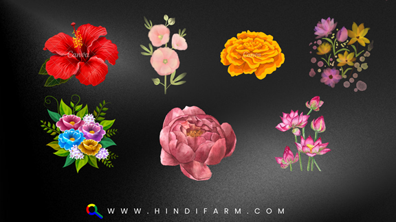 Flowers Name in Hindi