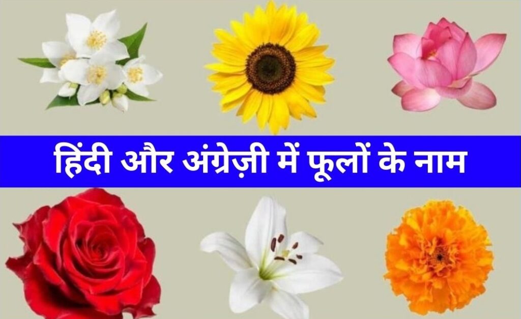 Flowers Name in Hindi and English