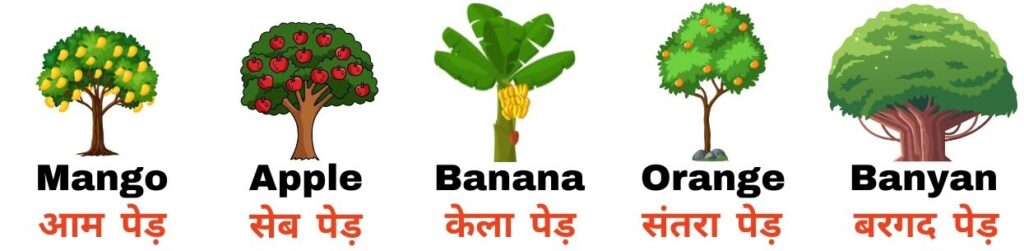 Trees Name in Hindi