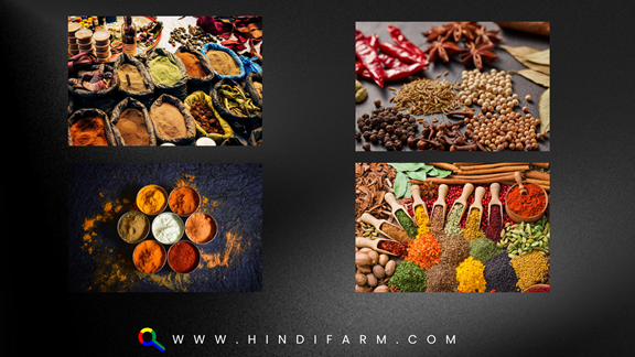 Spices Name in Hindi 